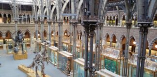 Ile lat trwają studia na Oxfordzie?